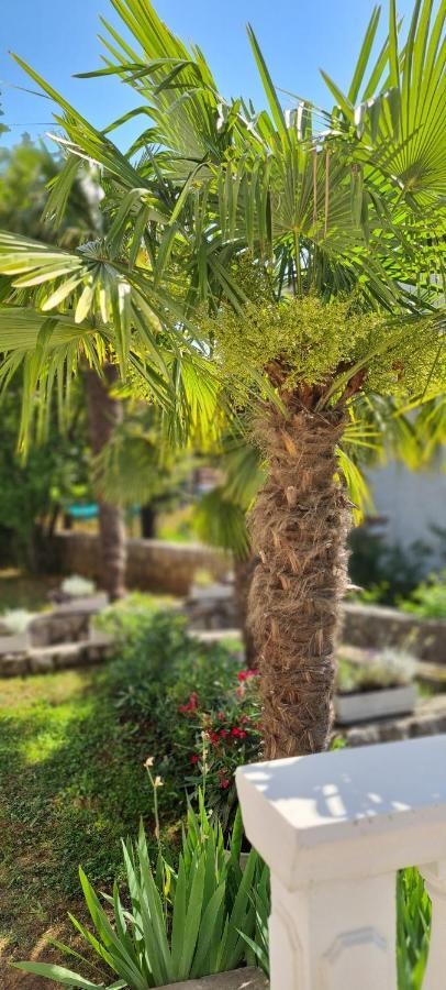 Apartment Garden & Sea Volosko Dış mekan fotoğraf